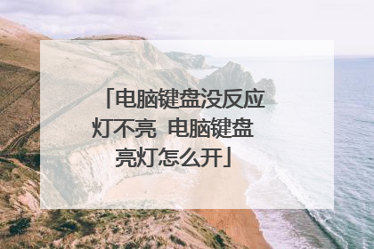 电脑键盘没反应灯不亮 电脑键盘亮灯怎么开