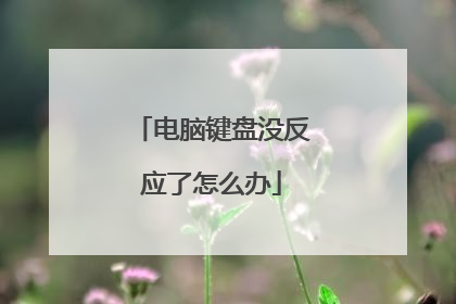 电脑键盘没反应了怎么办