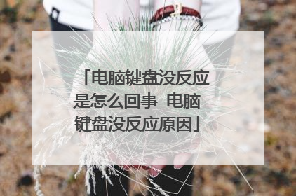 电脑键盘没反应是怎么回事 电脑键盘没反应原因