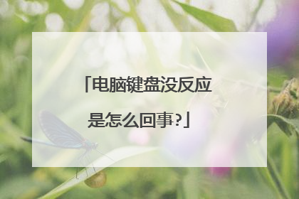 电脑键盘没反应是怎么回事?