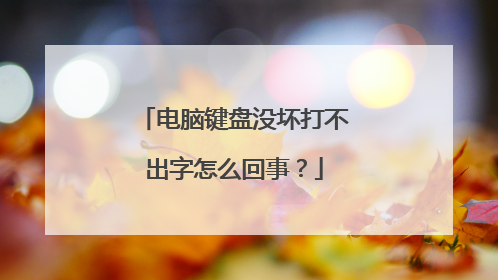 电脑键盘没坏打不出字怎么回事？