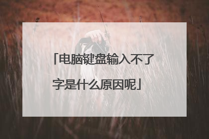 电脑键盘输入不了字是什么原因呢