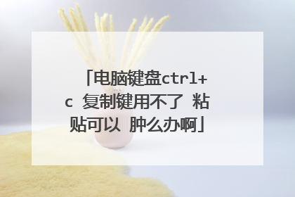 电脑键盘ctrl+c 复制键用不了 粘贴可以 肿么办啊