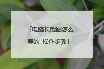 电脑长截图怎么弄的 操作步骤