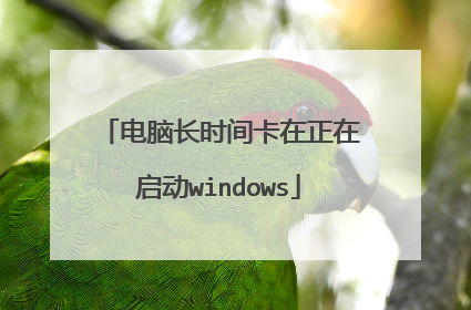 电脑长时间卡在正在启动windows