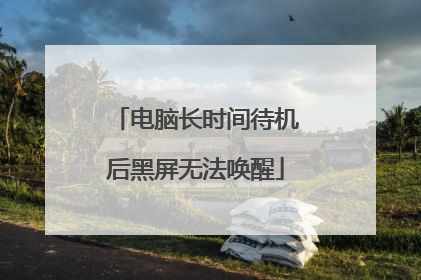 电脑长时间待机后黑屏无法唤醒