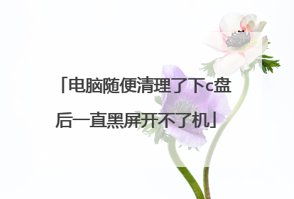 电脑随便清理了下c盘后一直黑屏开不了机