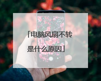 电脑风扇不转是什么原因