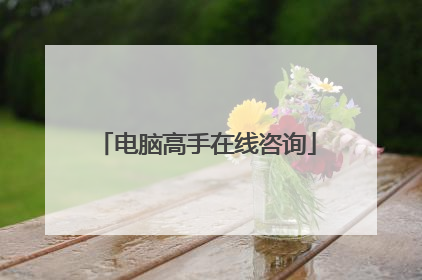 电脑高手在线咨询