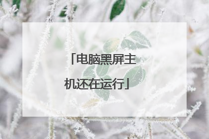电脑黑屏主机还在运行