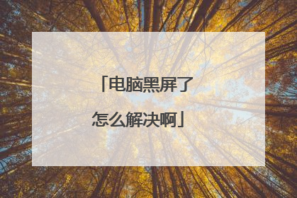 电脑黑屏了怎么解决啊