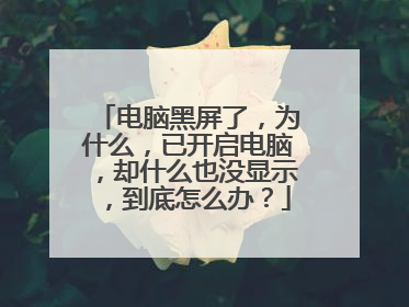 电脑黑屏了，为什么，已开启电脑，却什么也没显示，到底怎么办？