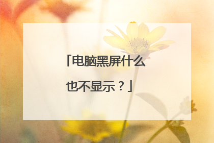 电脑黑屏什么也不显示？