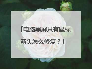 电脑黑屏只有鼠标箭头怎么修复？