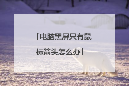 电脑黑屏只有鼠标箭头怎么办