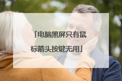 电脑黑屏只有鼠标箭头按键无用