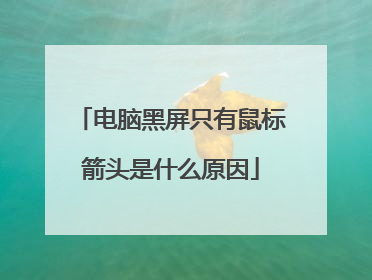 电脑黑屏只有鼠标箭头是什么原因