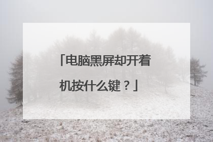 电脑黑屏却开着机按什么键?
