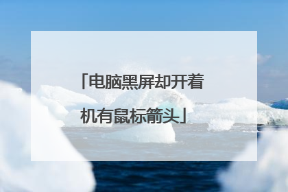 电脑黑屏却开着机有鼠标箭头