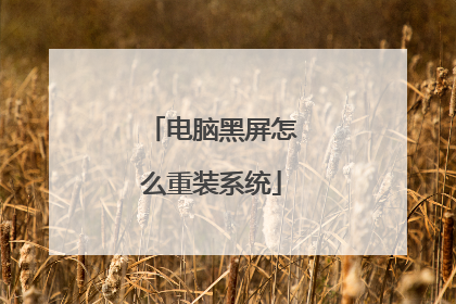 电脑黑屏怎么重装系统