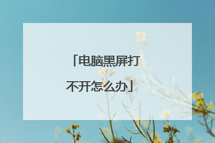 电脑黑屏打不开怎么办
