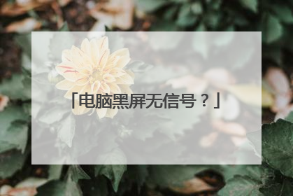 电脑黑屏无信号?