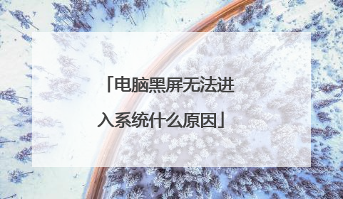 电脑黑屏无法进入系统什么原因