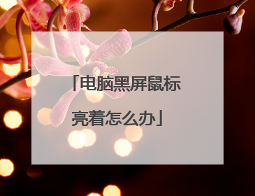 电脑黑屏鼠标亮着怎么办