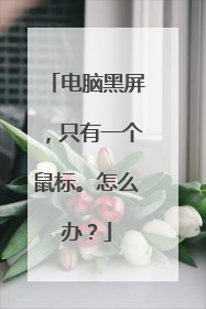 电脑黑屏，只有一个鼠标。怎么办？