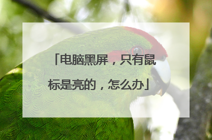 电脑黑屏，只有鼠标是亮的，怎么办