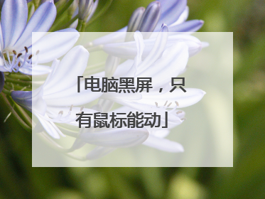 电脑黑屏,只有鼠标能动