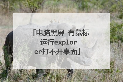 电脑黑屏 有鼠标 运行explorer打不开桌面