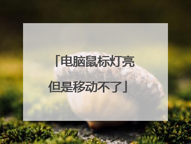 电脑鼠标灯亮但是移动不了