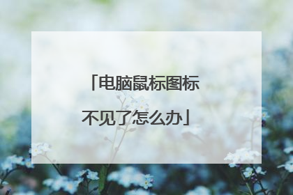 电脑鼠标图标不见了怎么办