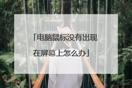电脑鼠标没有出现在屏幕上怎么办