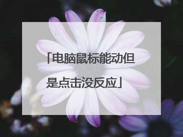 电脑鼠标能动但是点击没反应