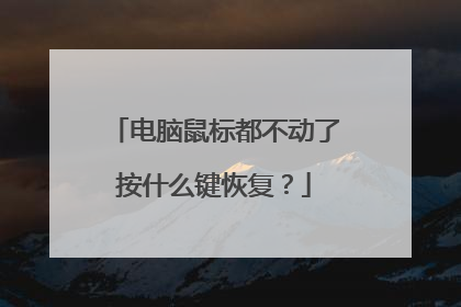 电脑鼠标都不动了按什么键恢复?