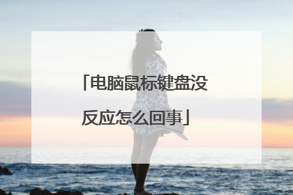 电脑鼠标键盘没反应怎么回事
