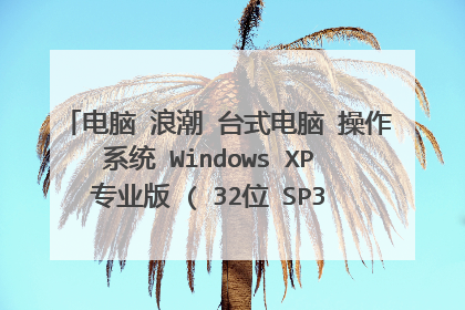 电脑 浪潮 台式电脑 操作系统 Windows XP 专业版 ( 32位 SP3 DirectX 9.0c ) .可以把内存升级吗？