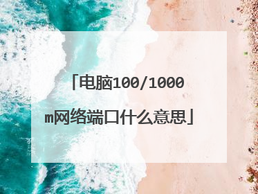 电脑100/1000m网络端口什么意思