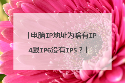 电脑IP地址为啥有IP4跟IP6没有IP5？