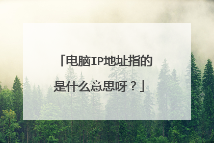 电脑IP地址指的是什么意思呀?
