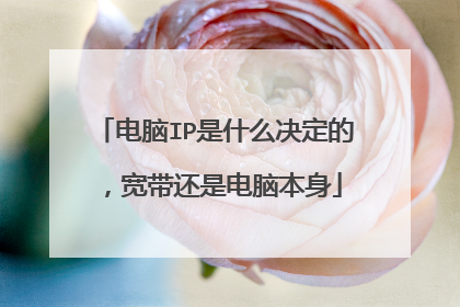电脑IP是什么决定的,宽带还是电脑本身