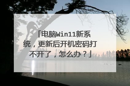 电脑Win11新系统，更新后开机密码打不开了，怎么办？