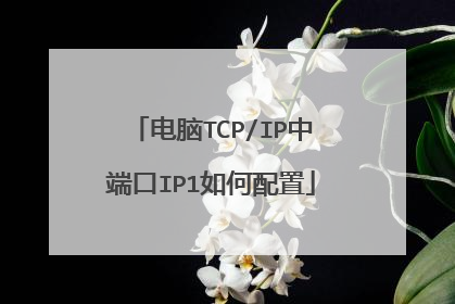 电脑TCP/IP中端口IP1如何配置
