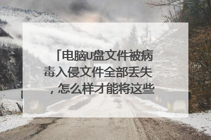 电脑U盘文件被病毒入侵文件全部丢失,怎么样才能将这些文件给恢复回来?