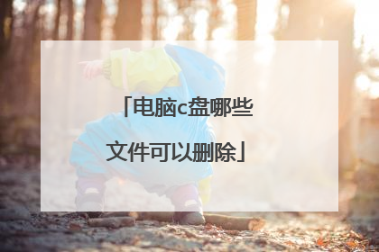 电脑c盘哪些文件可以删除
