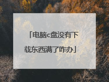 电脑c盘没有下载东西满了咋办