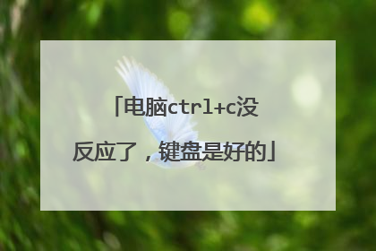 电脑ctrl+c没反应了，键盘是好的