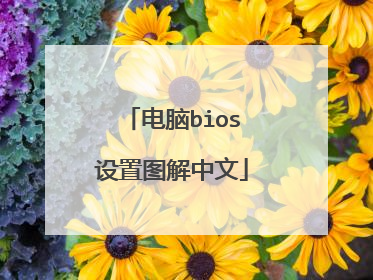 电脑bios设置图解中文